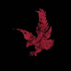 Freedom Flag Full-Zip Hoodie - Black -Grunt Style Sales GS5085 FreedomFlagFull ZipHoodie Black WEB READYFLBART